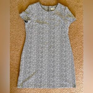 Calvin Klein Women's Short Sleeve Sheath Dress Black/White Size 14